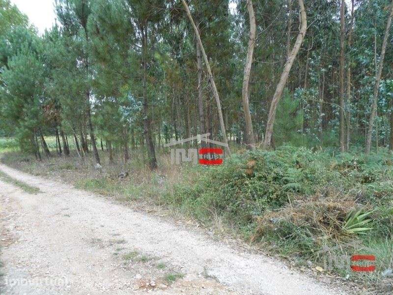 Terreno - Grande imagem: 5/8