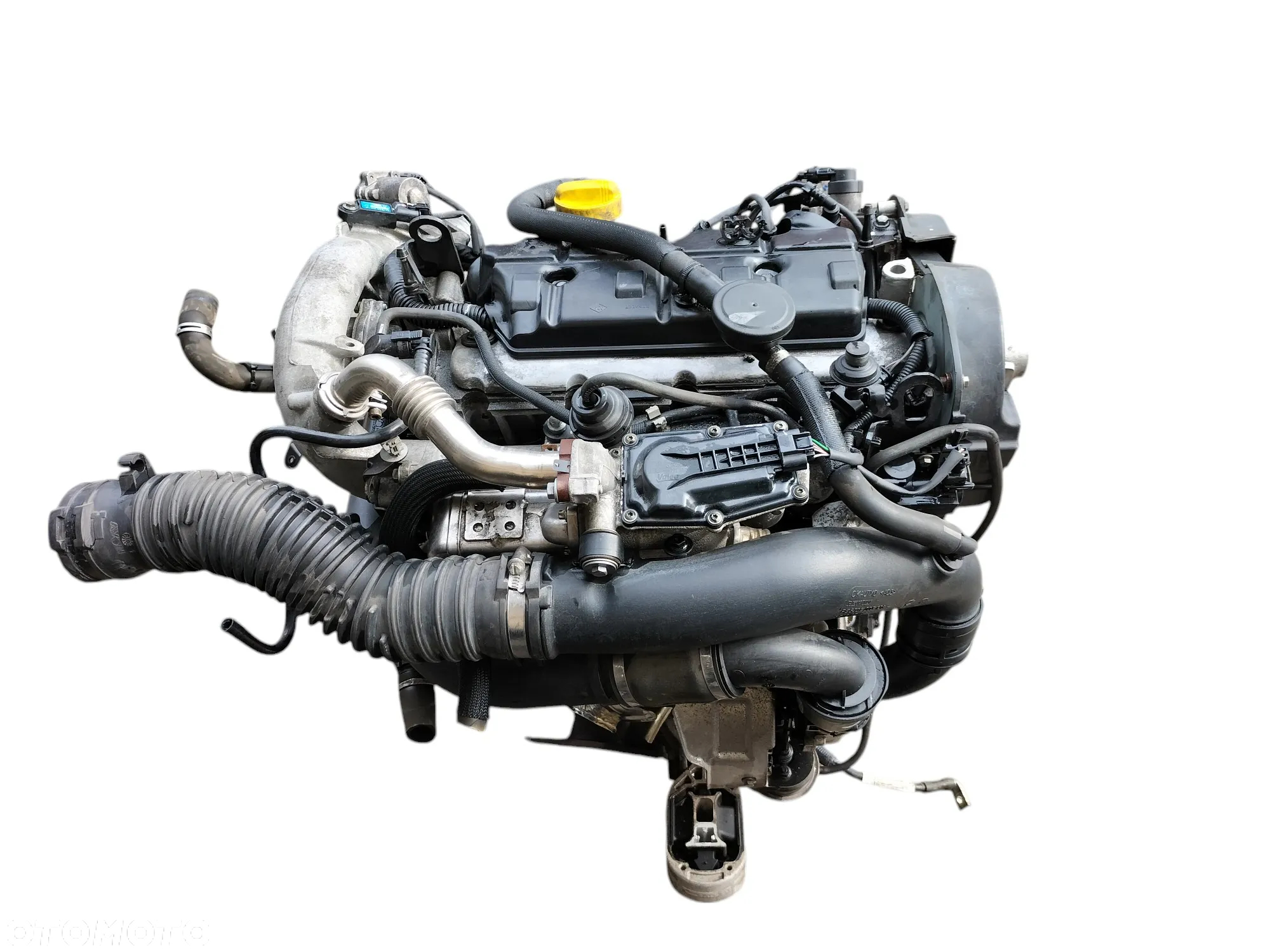 SILNIK KOMPLETNY 1.9 DCI F9QP872 RENAULT SCENIC III - 12