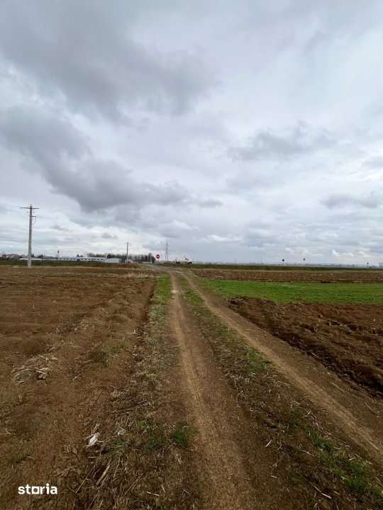 Teren extravilan 2500 mp,cu acces la Centura ,Radauti - Imagine principală: 5/7