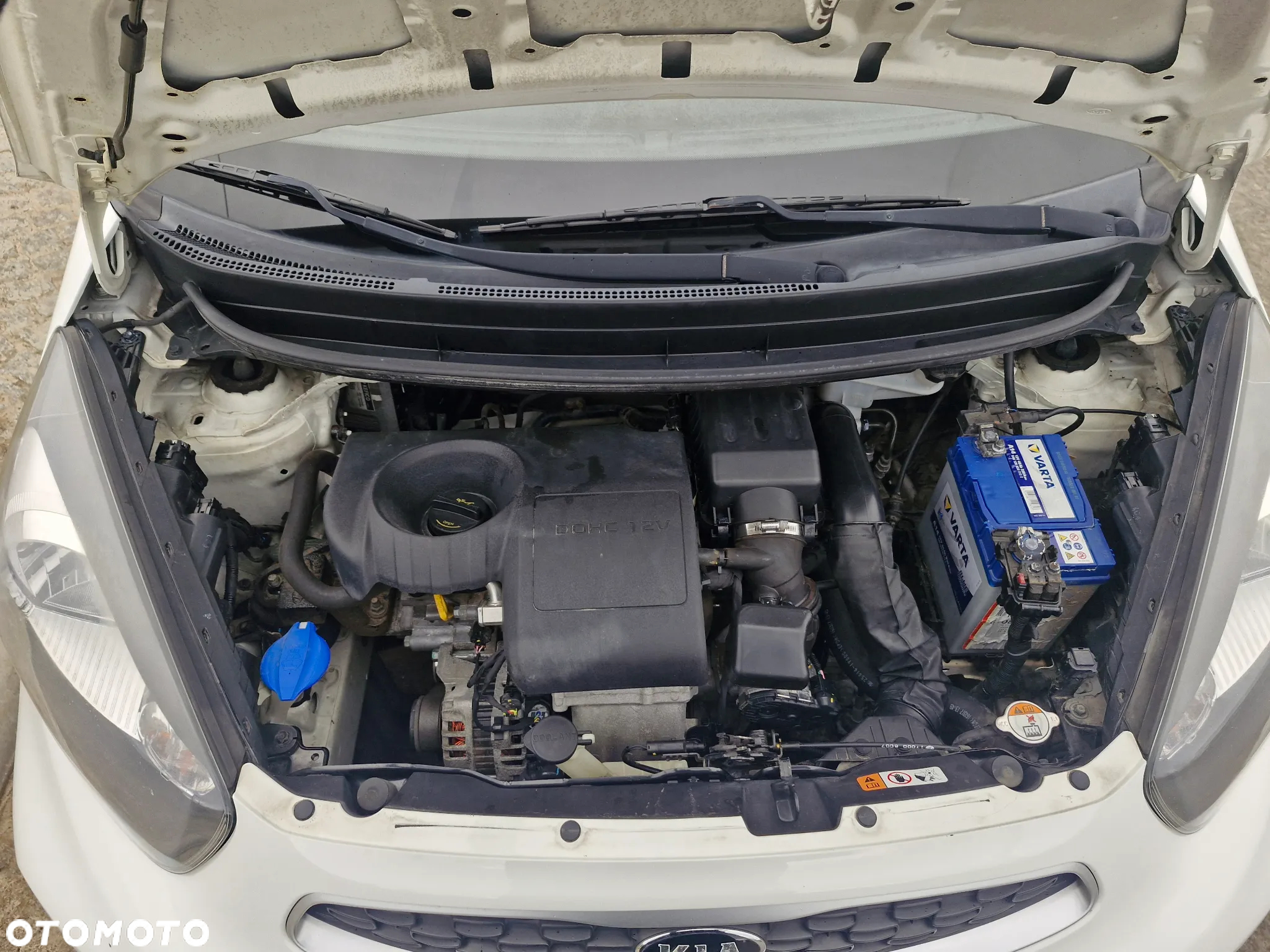 Kia PICANTO - 5