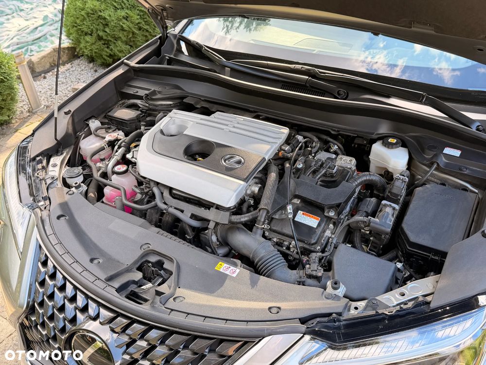 Lexus UX 250h GPF Business 2WD - 22
