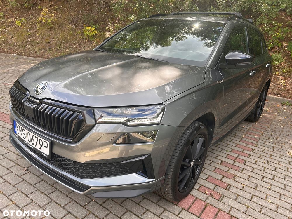 Skoda Karoq - 2
