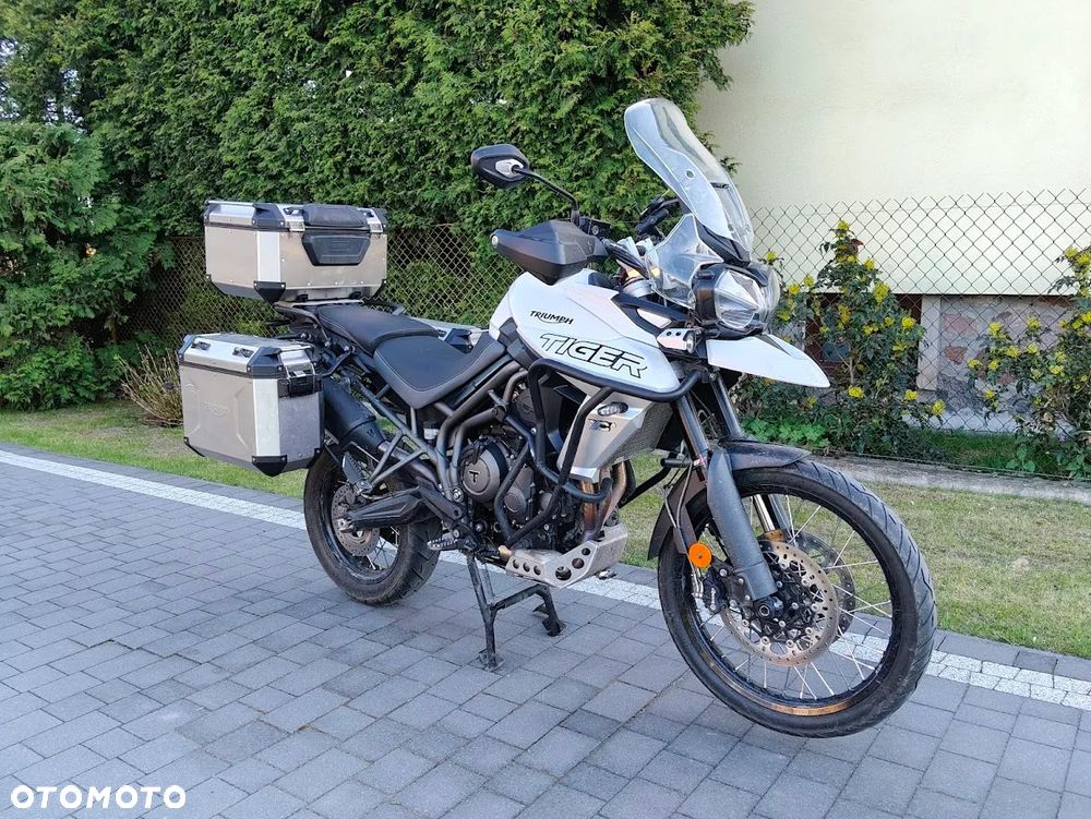 Triumph Tiger - 1