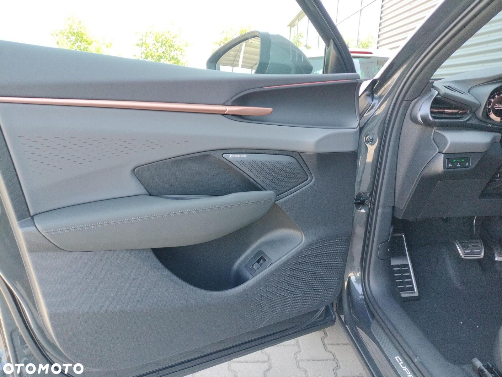 Cupra Terramar 2.0 TSI 4Drive DSG - 10