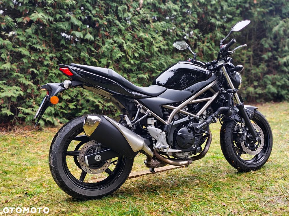 Suzuki SV - 2
