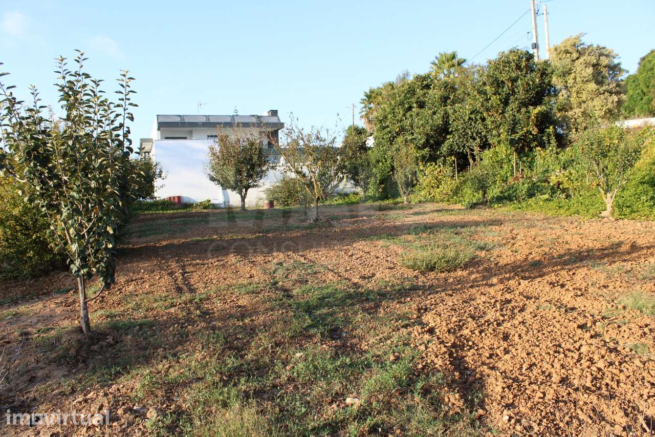 Terreno para Moradia T4 com Projeto Aprovado e Anexos | Lourinhã - Grande imagem: 5/16