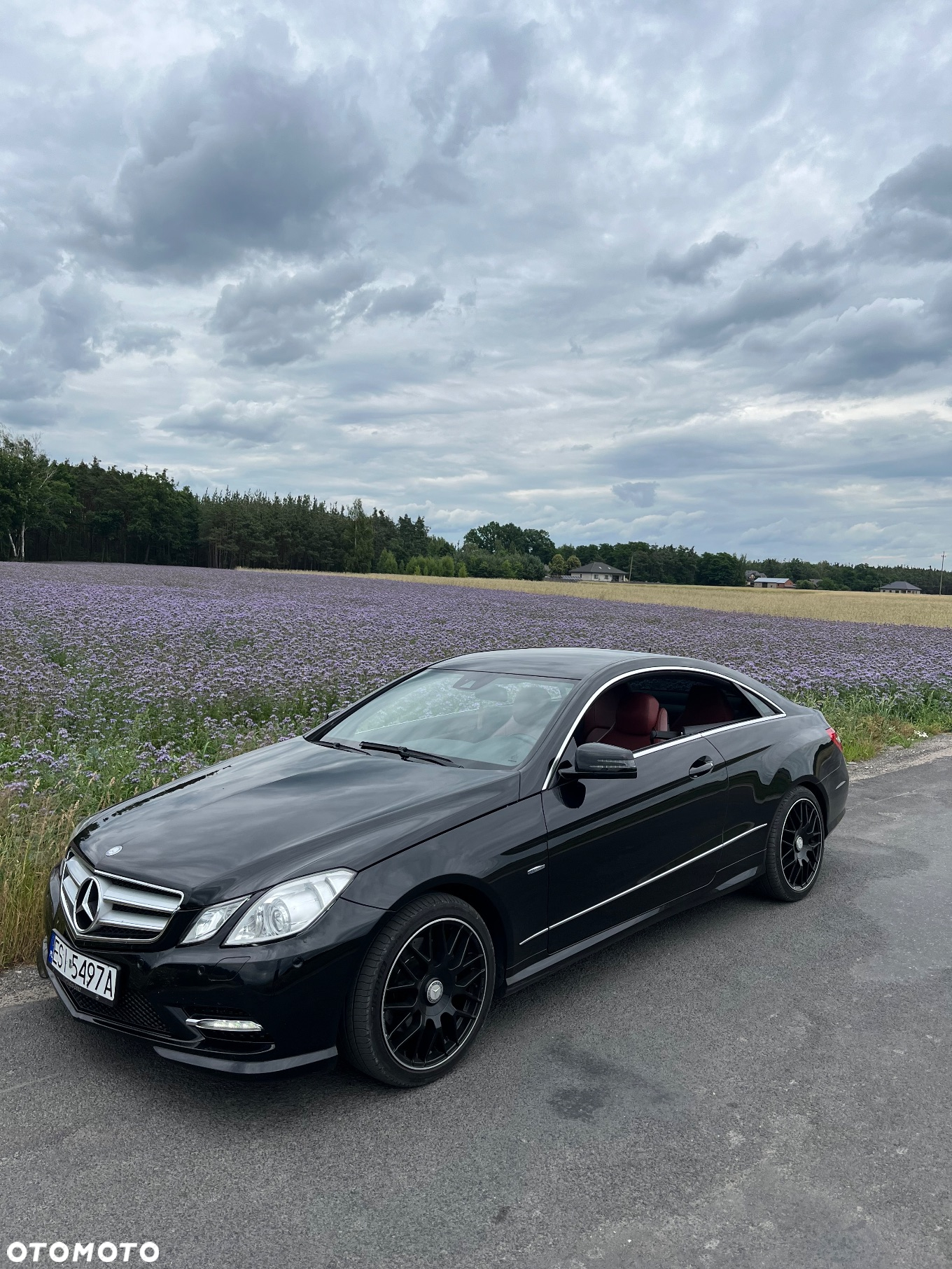 Mercedes-Benz Klasa E 350 CDI DPF Coupe BlueEFFICIENCY 7G-TRONIC Avantgarde - 19