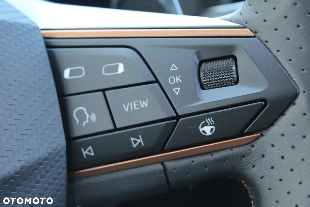 Cupra Formentor 2.0 TSI VZ DSG - 29
