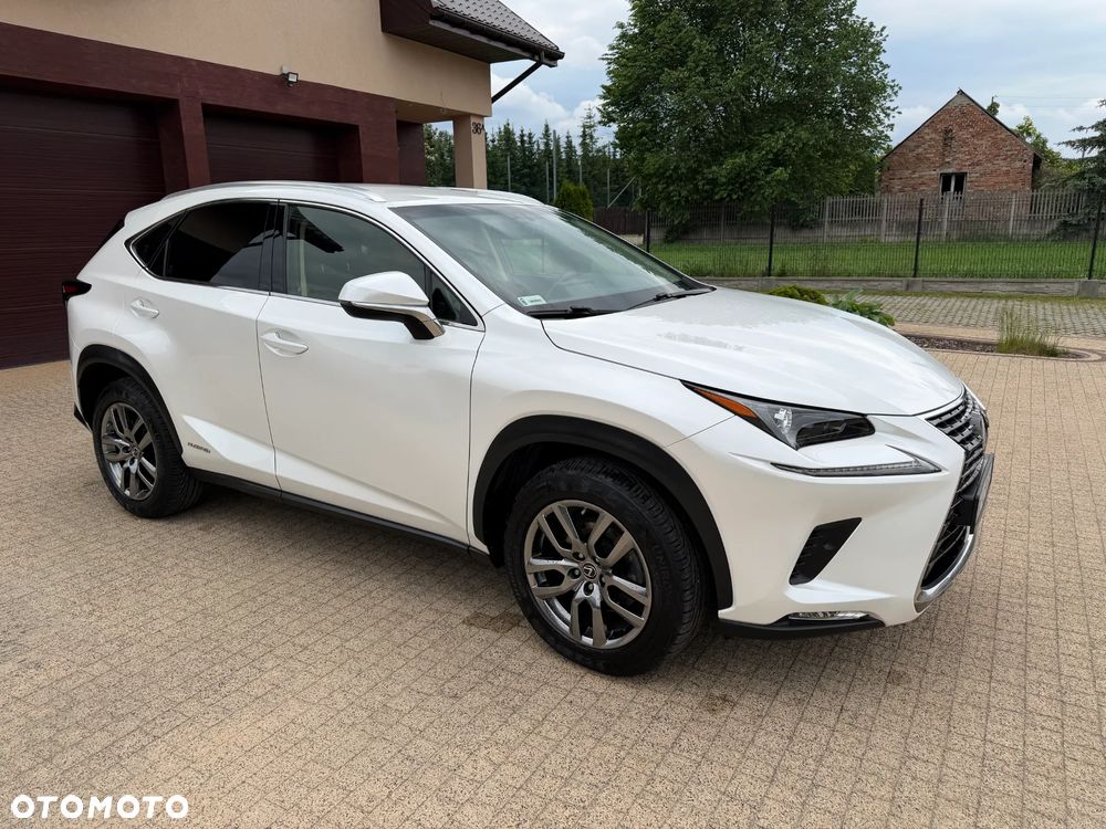 Lexus NX 300h Elegance Optimum AWD - 1