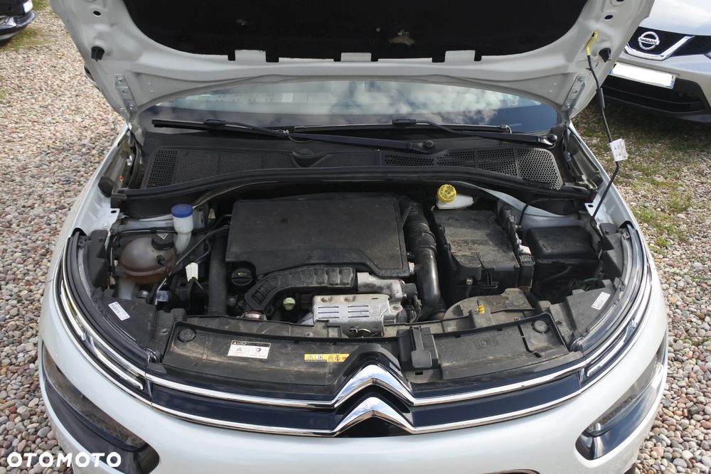 Citroën C4 Cactus Pure Tech 110 Stop&Start Shine - 33
