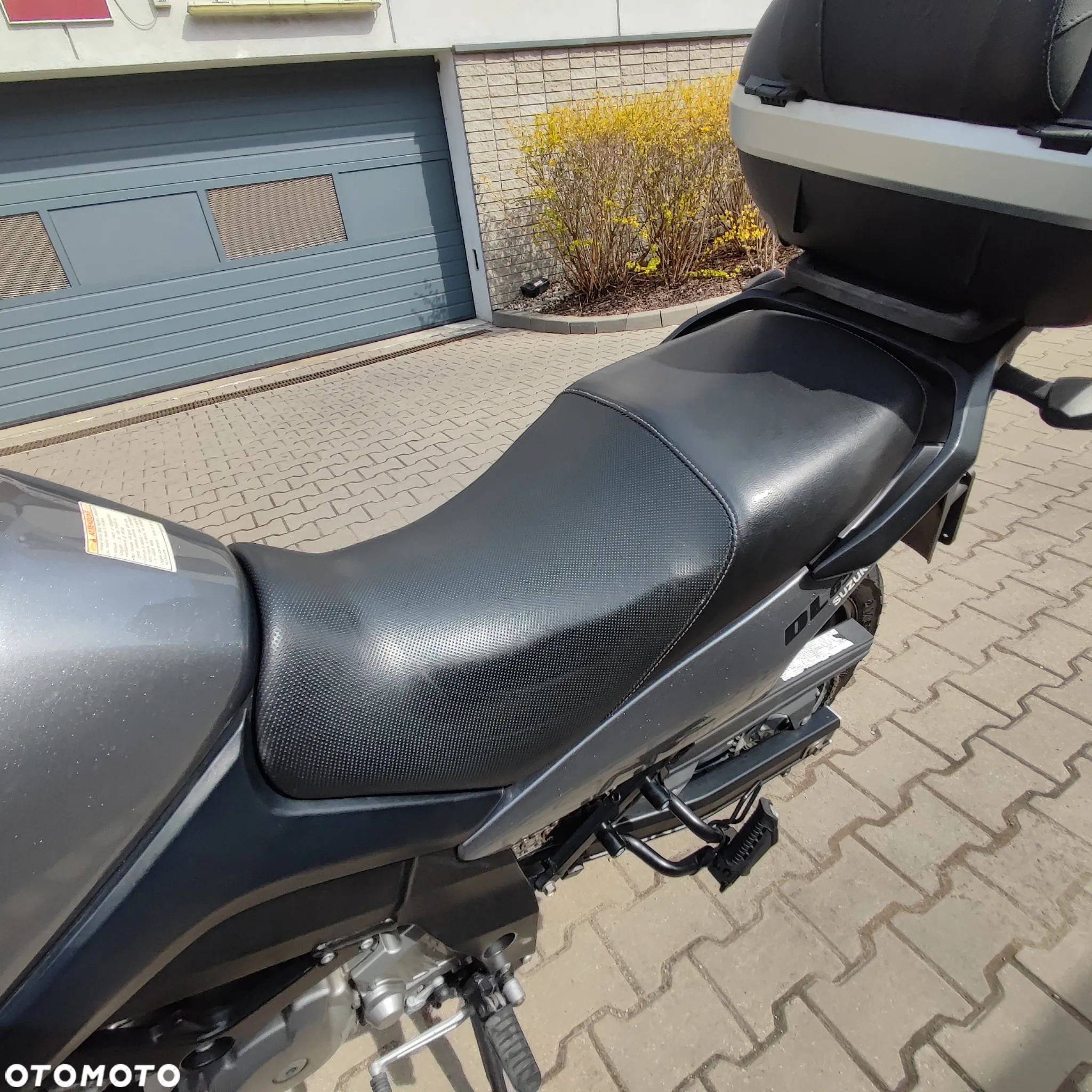 Suzuki DL - 10