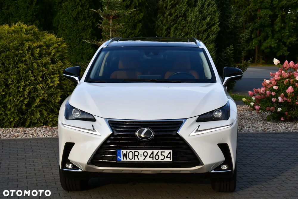 Lexus NX 300 AWD Executive Line - 5