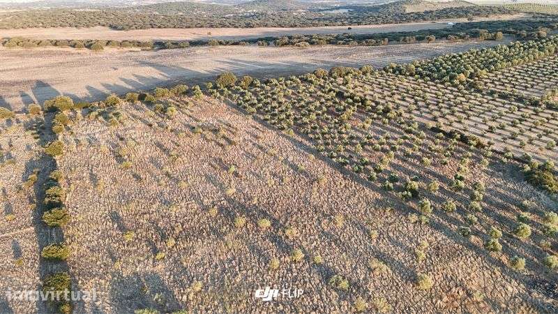 Terreno 4,5ha a 5 minutos de Vila Boim - Grande imagem: 2/2