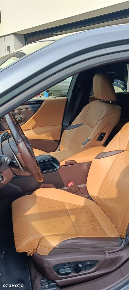 Lexus ES 300h Luxury Line - 15