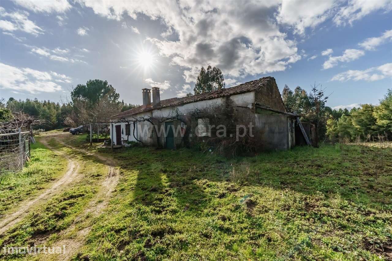 Terreno com ruina / Fundão, Fatela - Grande imagem: 3/18