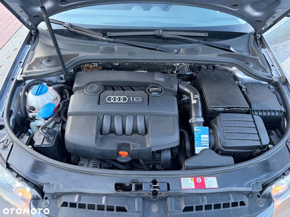 Audi A3 3-drzwiowe 1.6 Ambiente - 10