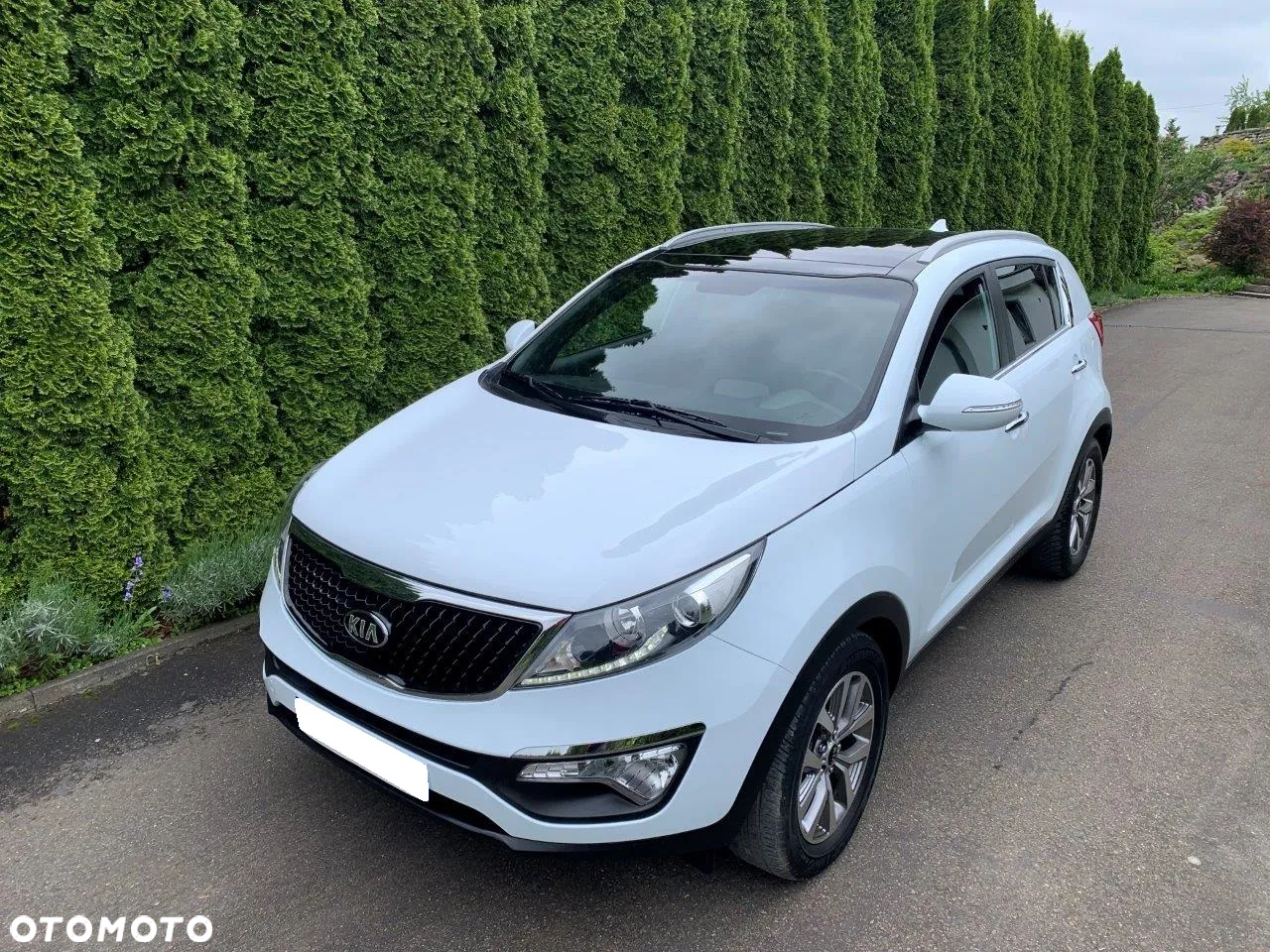 Kia Sportage 1.7 CRDI 2WD Edition 7 - 10
