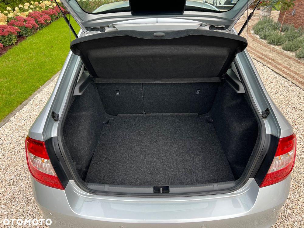 Skoda RAPID - 20