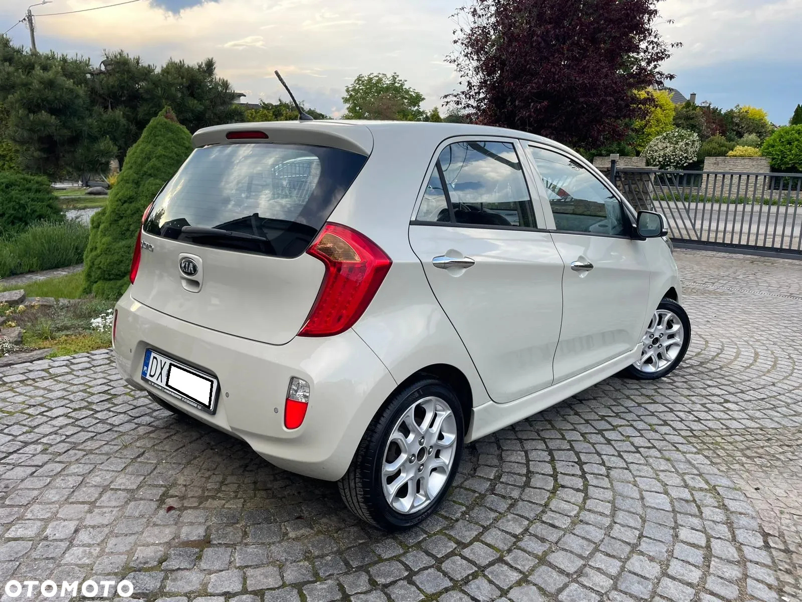 Kia Picanto 1.2 Fifa World Cup Edition - 4