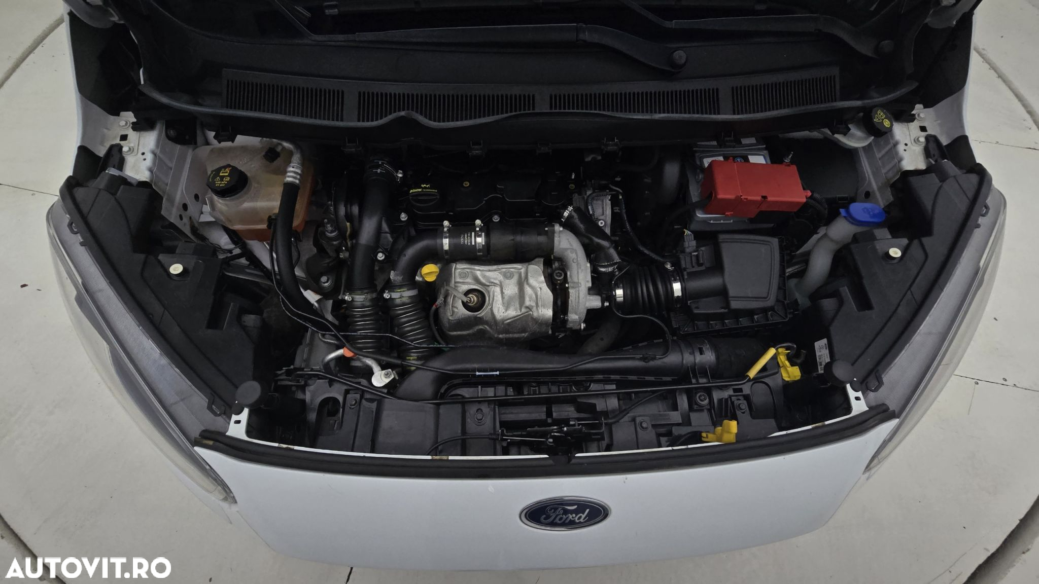 Ford Transit - 24