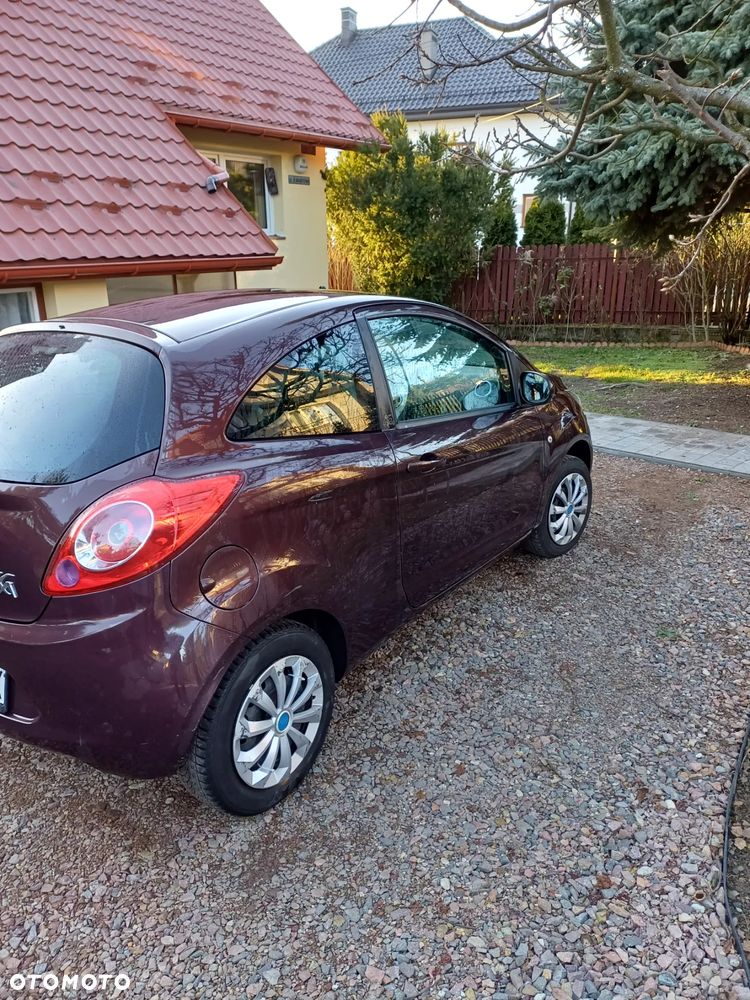 Ford KA 1.2 Concept - 3