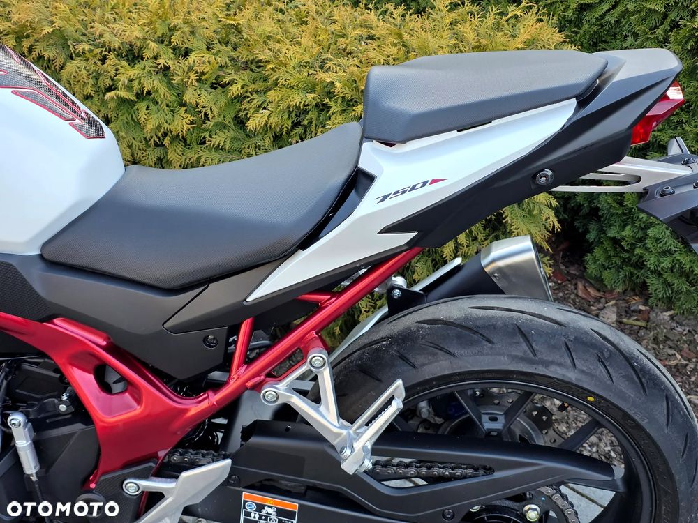 Honda Hornet - 31