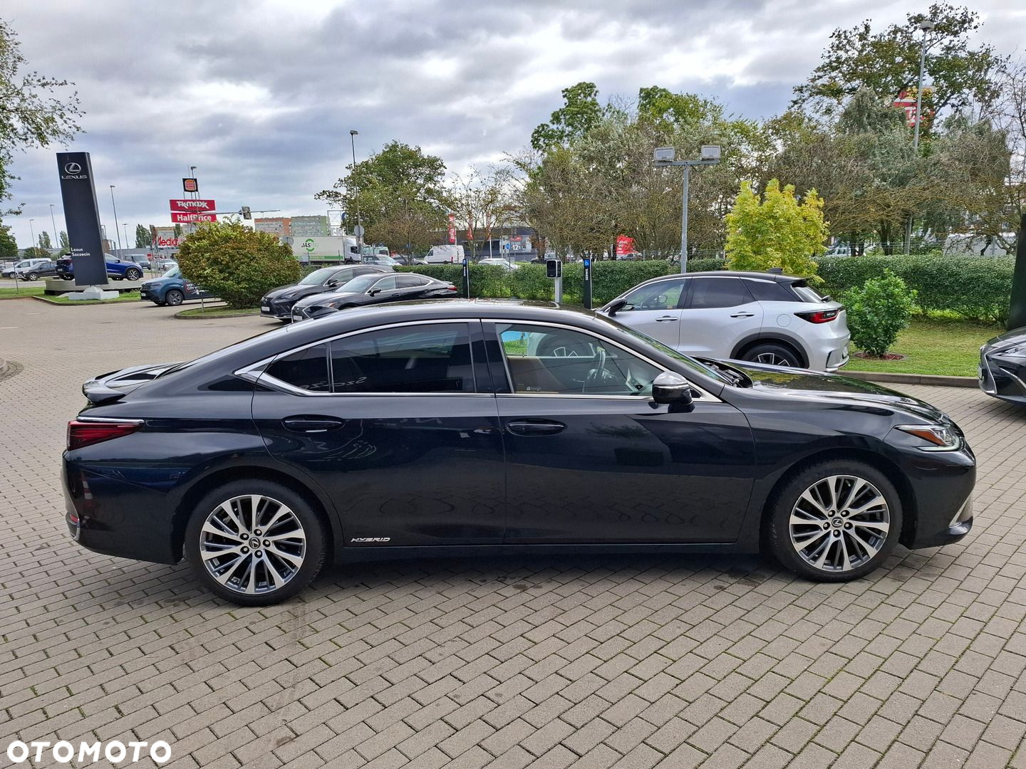 Lexus ES 300h Elegance - 6