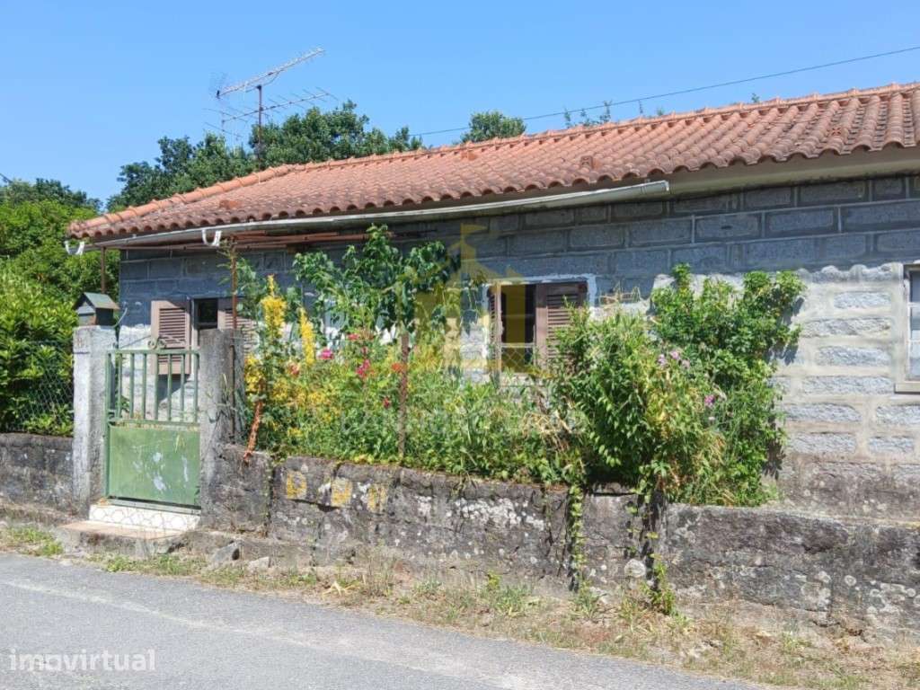 Quintinha, com 7000m2 com 4 artigos, 3 nas casa e 1 no terreno. - Grande imagem: 2/21
