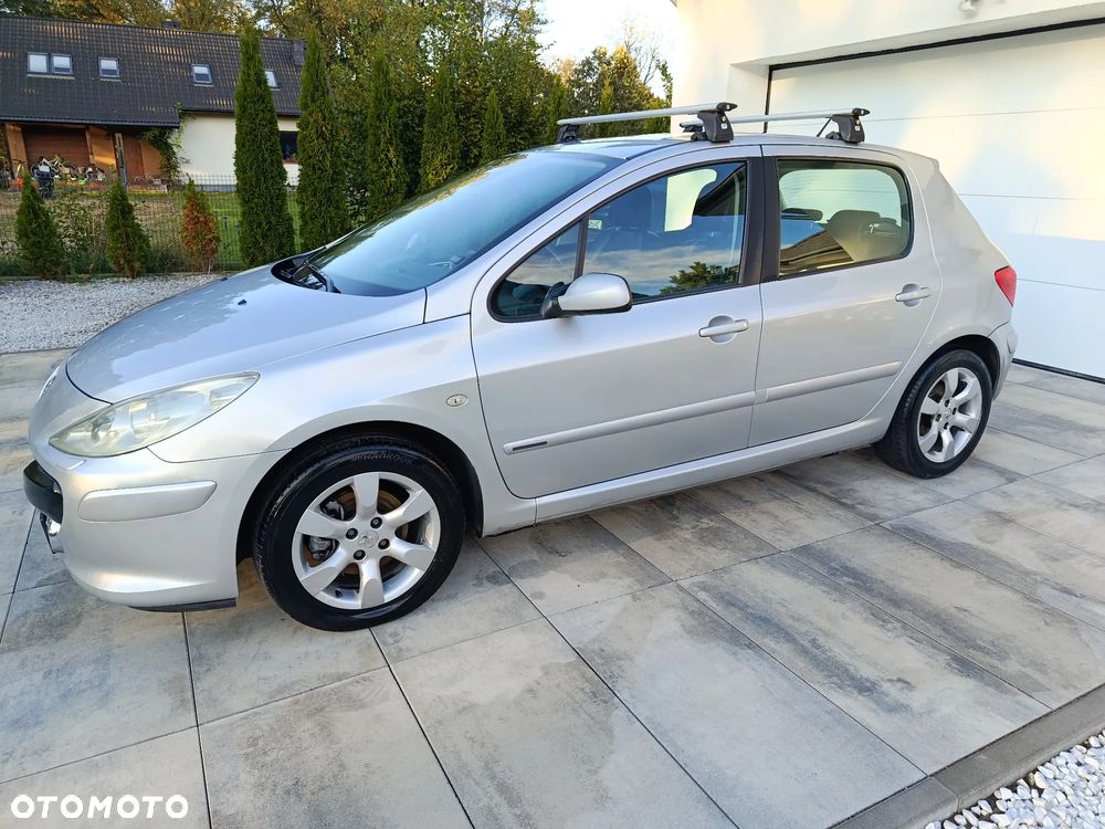 Peugeot 307 - 22