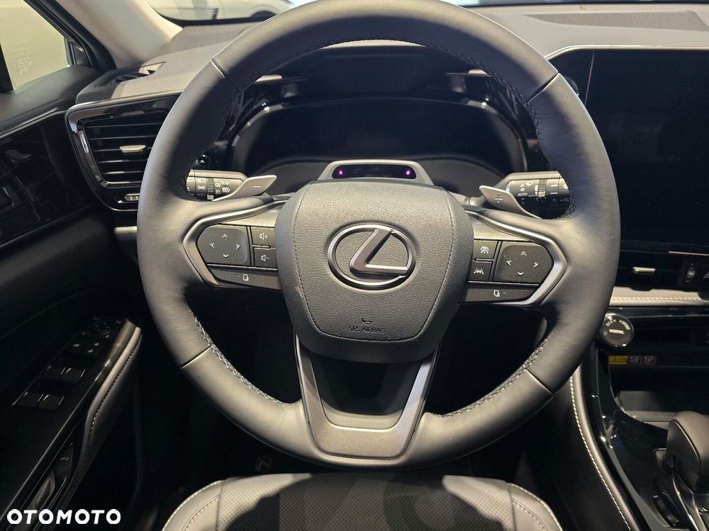 Lexus NX - 10