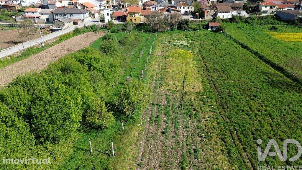 Terreno em Veiga de Lila de 8990,00 m2 - Grande imagem: 4/14