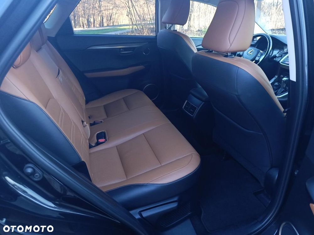 Lexus NX 300 Comfort AWD - 14