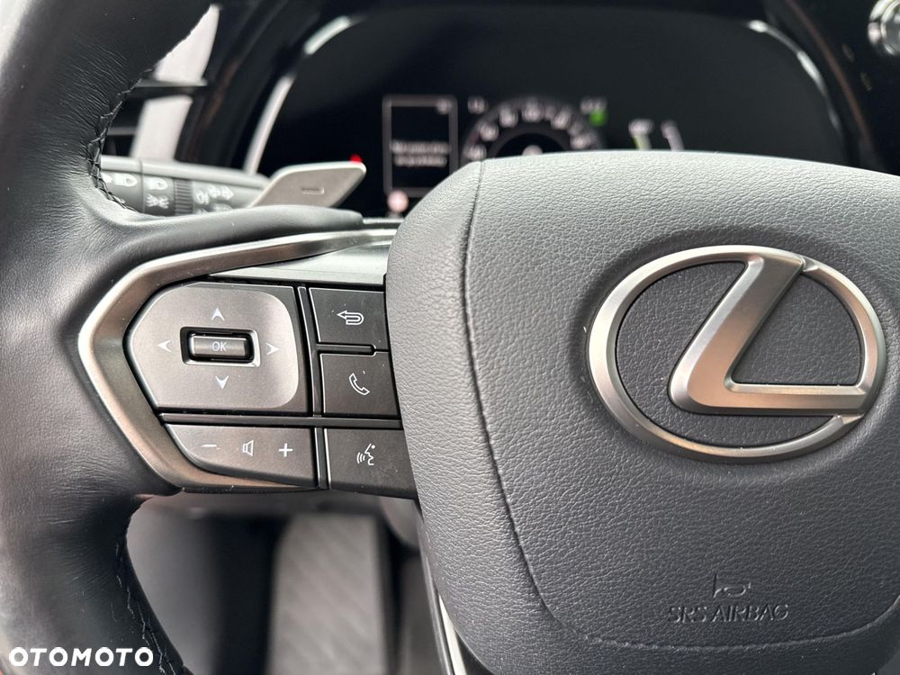 Lexus RX 450h+ Prestige - 21