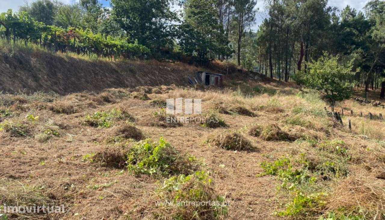 Venda Terreno para Construção de uma Moradia, Frende, Baião - Grande imagem: 5/29