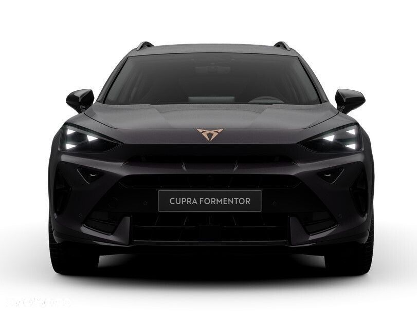 Cupra Formentor 2.0 TSI 4Drive DSG - 6