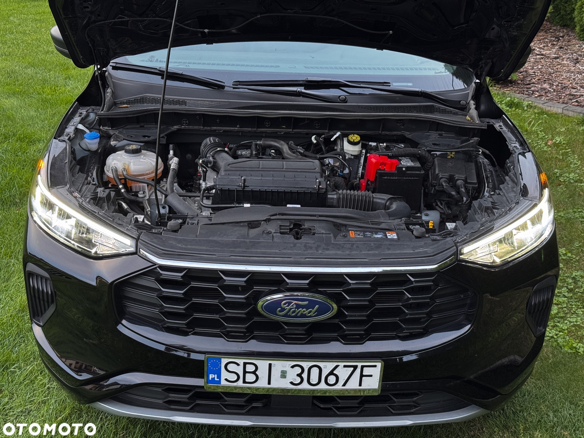Ford Escape - 26