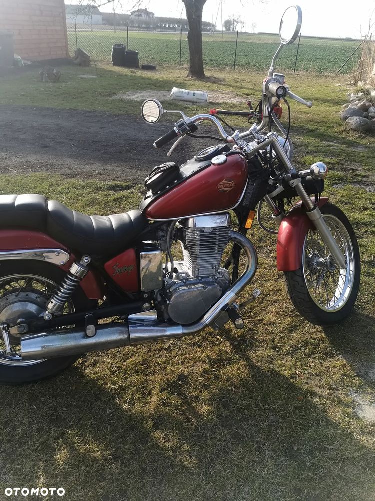 Suzuki Savage - 1