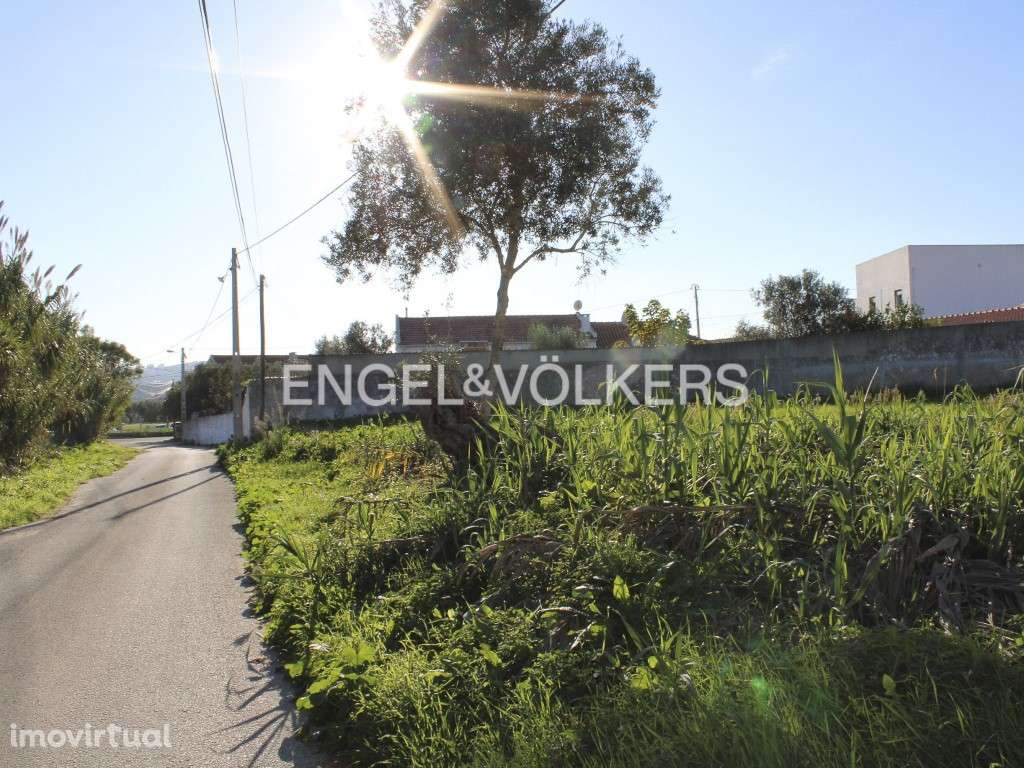 Terreno para construção residencial no Tojal - Grande imagem: 3/11