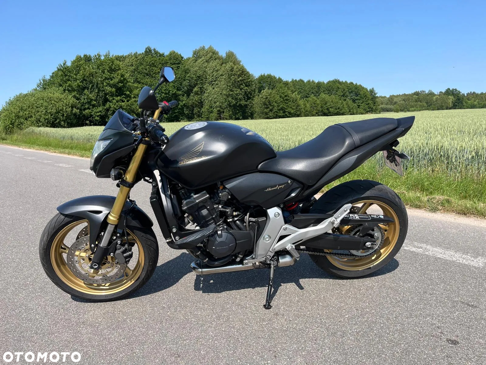 Honda Hornet - 6
