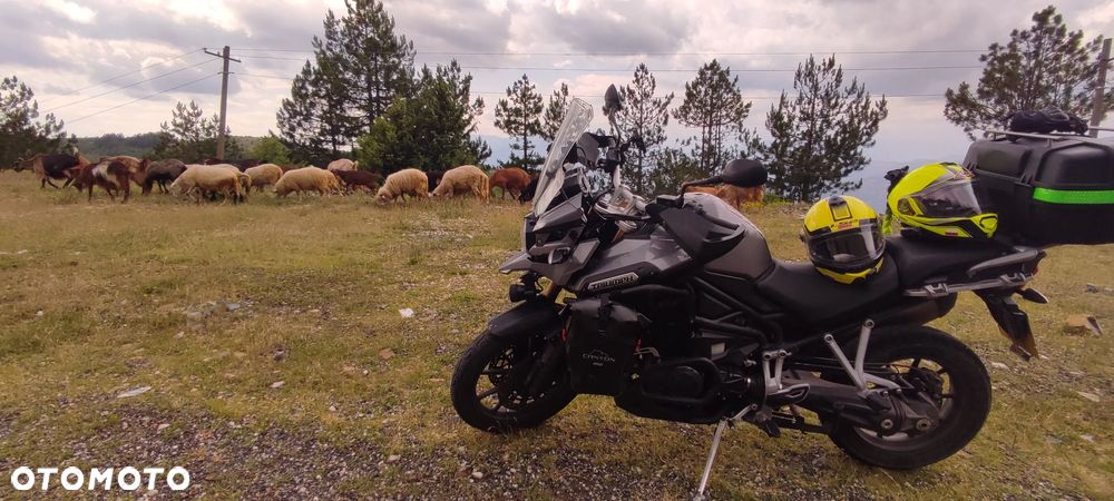 Triumph Tiger - 14