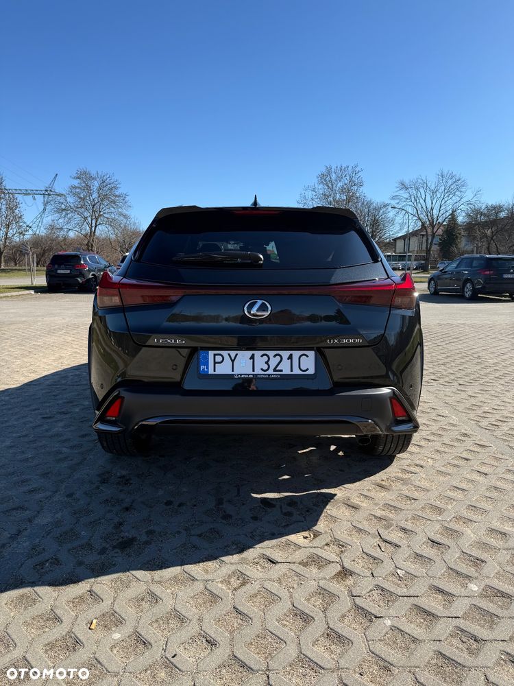 Lexus UX 300h F Sport Design - 6