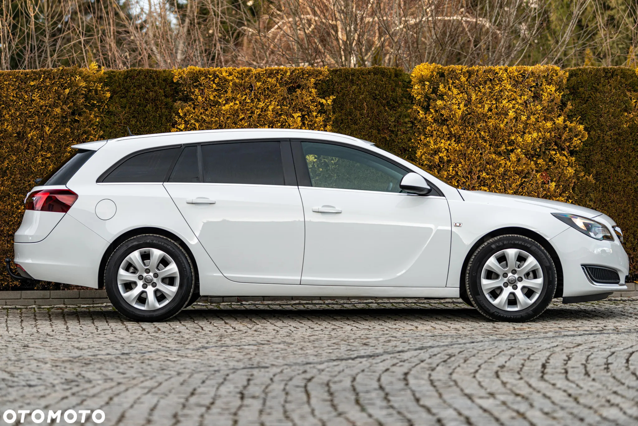 Opel Insignia 2.0 CDTI ecoFLEX Sport - 19