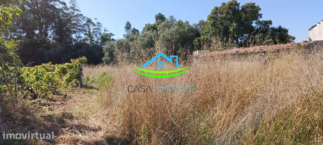 Terreno com Viabilidade de Construção em Paião – Figueira da Foz - Grande imagem: 3/20