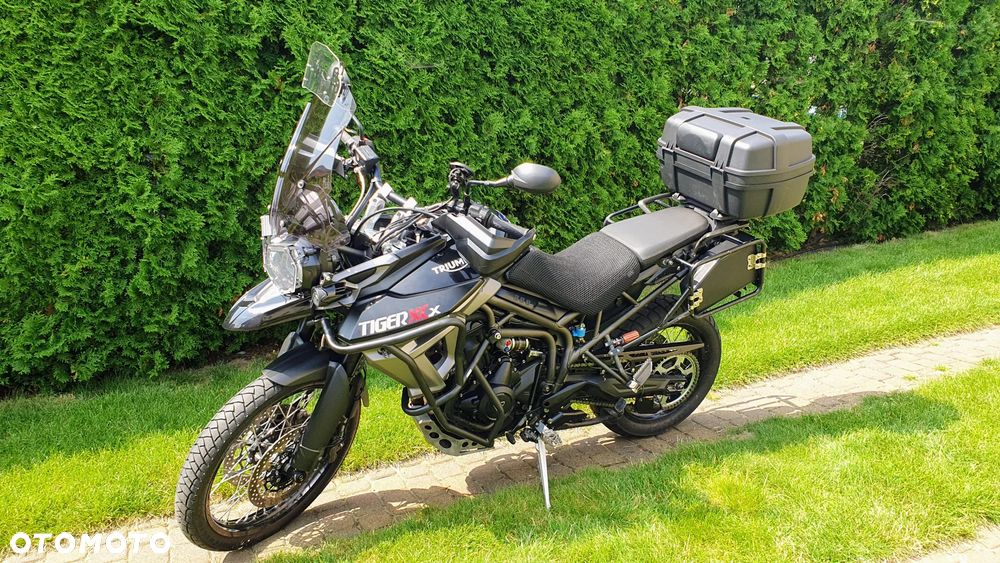Triumph Tiger - 4
