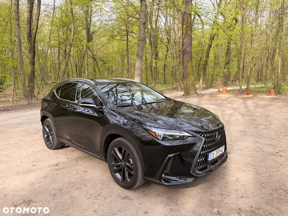 Lexus NX 450h+ Prestige AWD - 15
