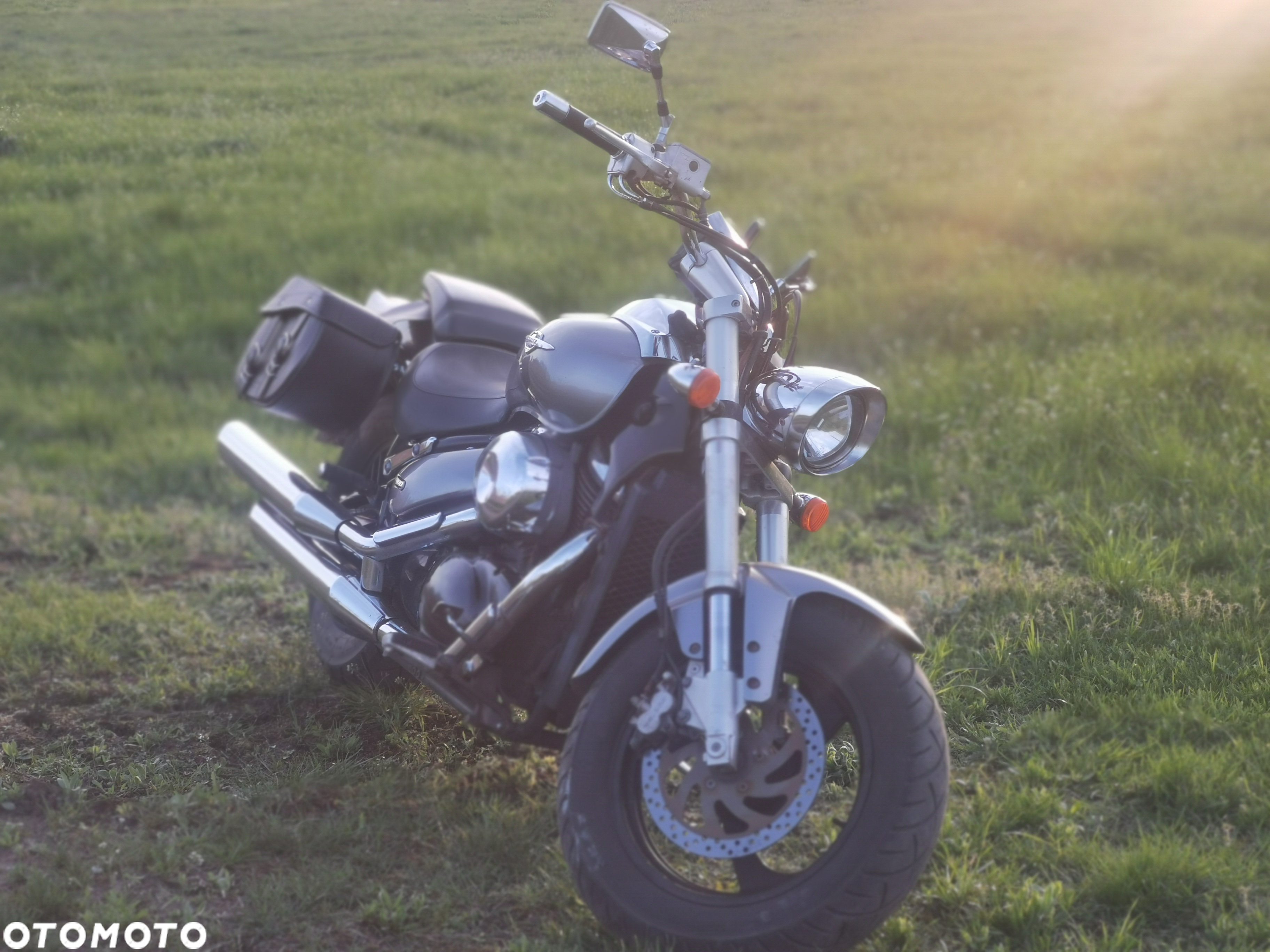 Suzuki Intruder - 6