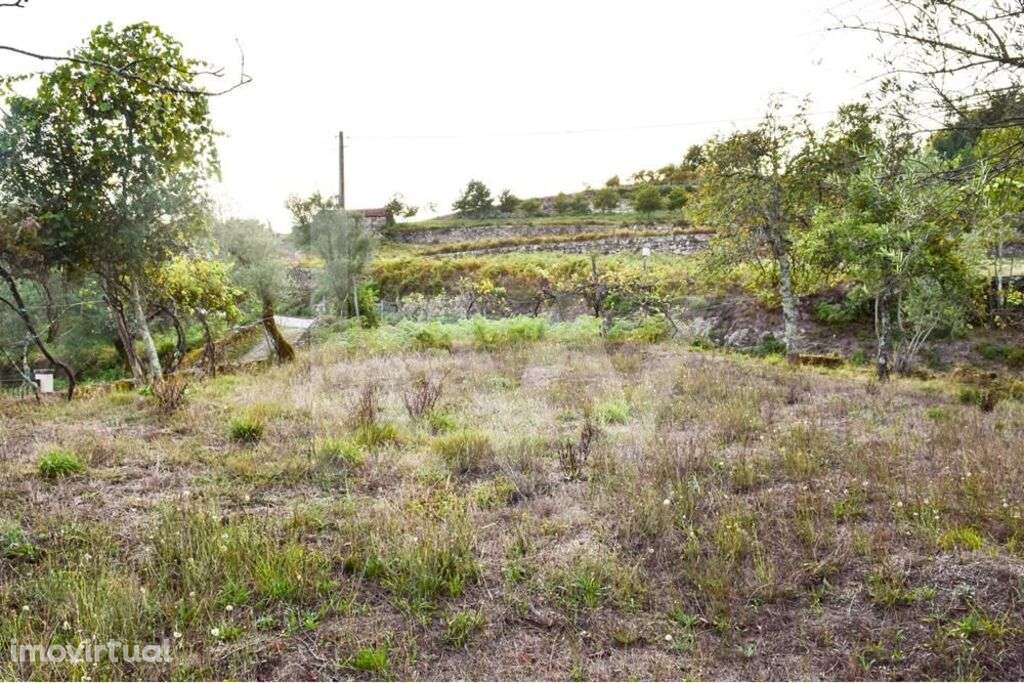 Moradia T3 para recuperar - Grande imagem: 4/10