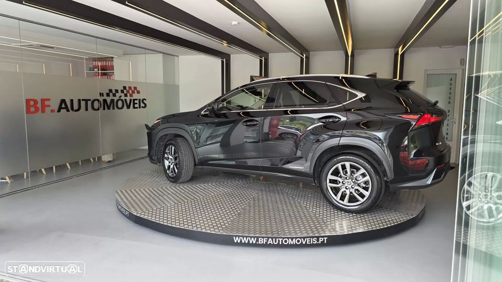 Lexus NX 300h Executive - 15