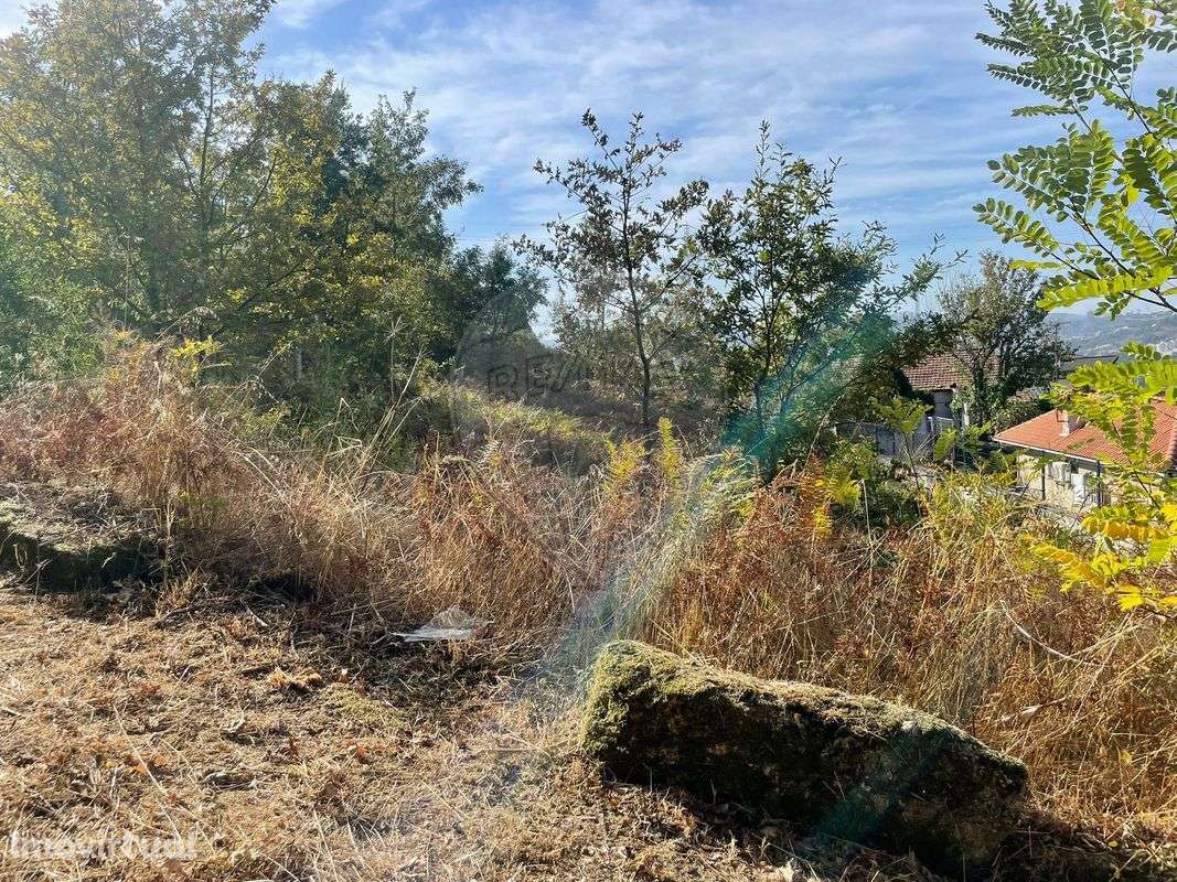 Terreno  para venda - Grande imagem: 4/8