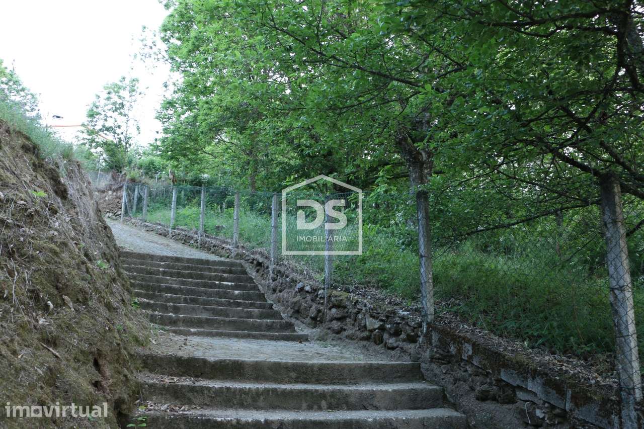 Terreno Rústico  Venda em Avões,Lamego - Grande imagem: 4/6